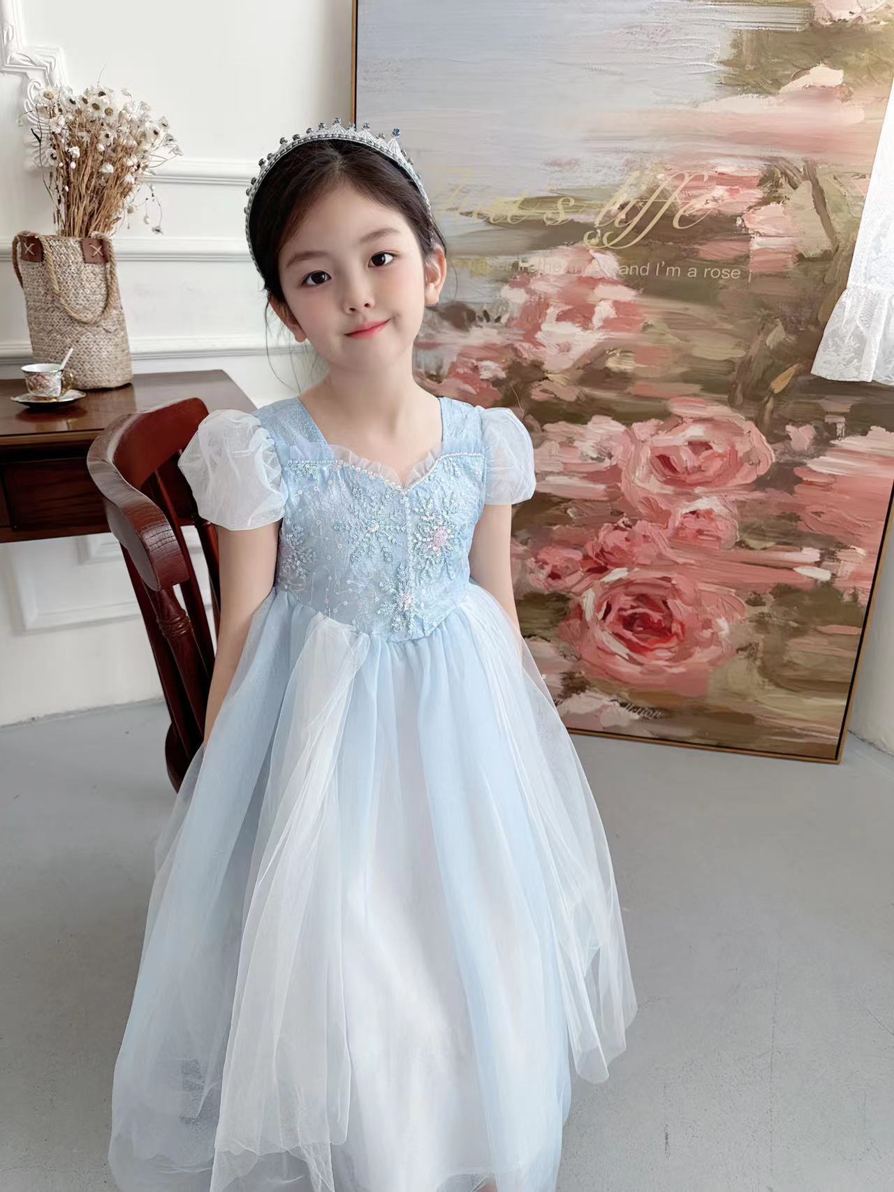 Embroidered Elsa Girls Dress f - Baby Clothing Dresser 评论和价格